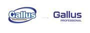 Gallus